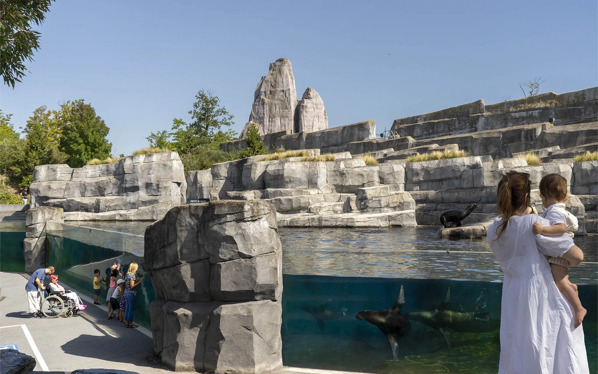 Bassin des otaries