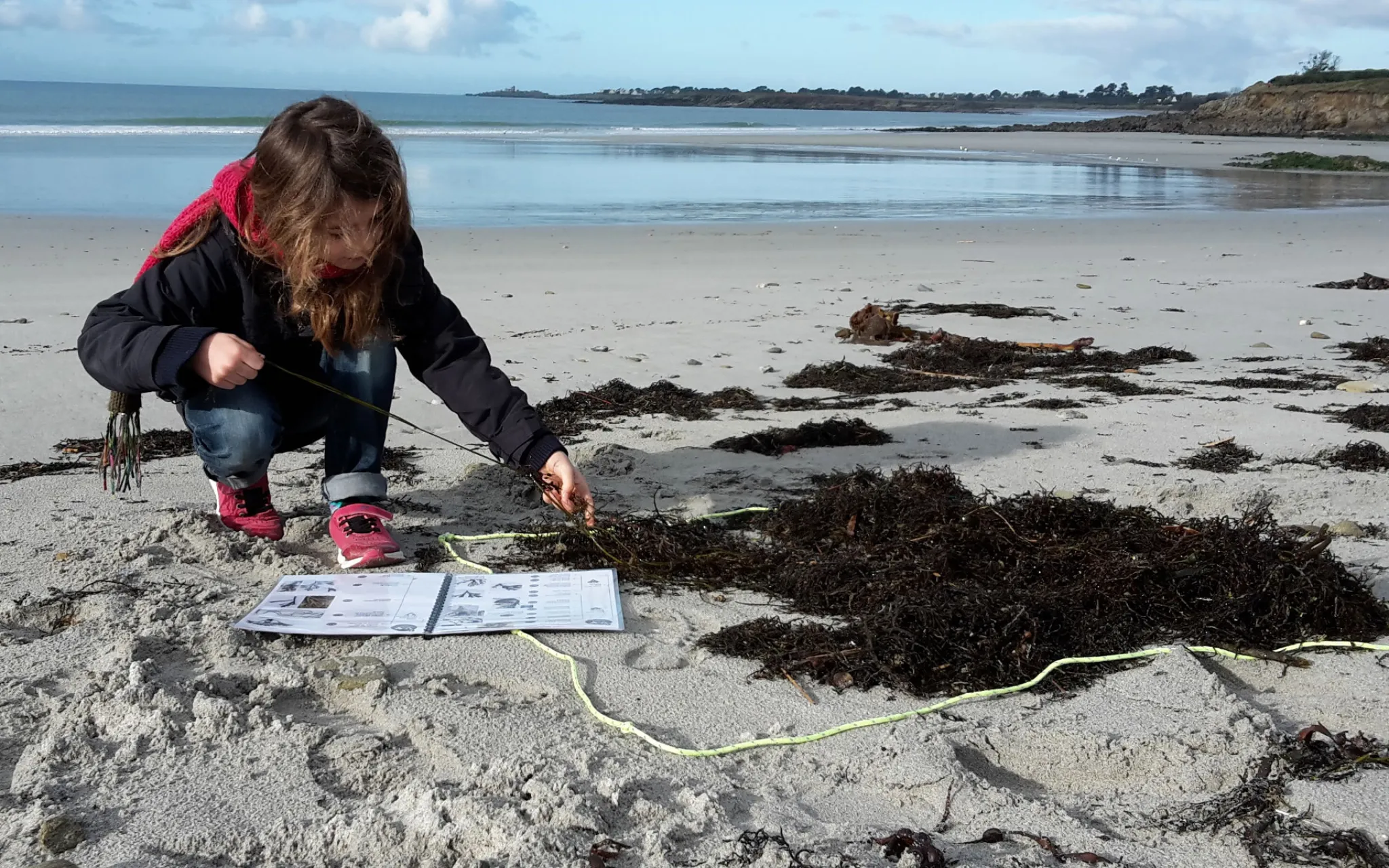 Photo d'une fillette tirant sur une algue sur la plage