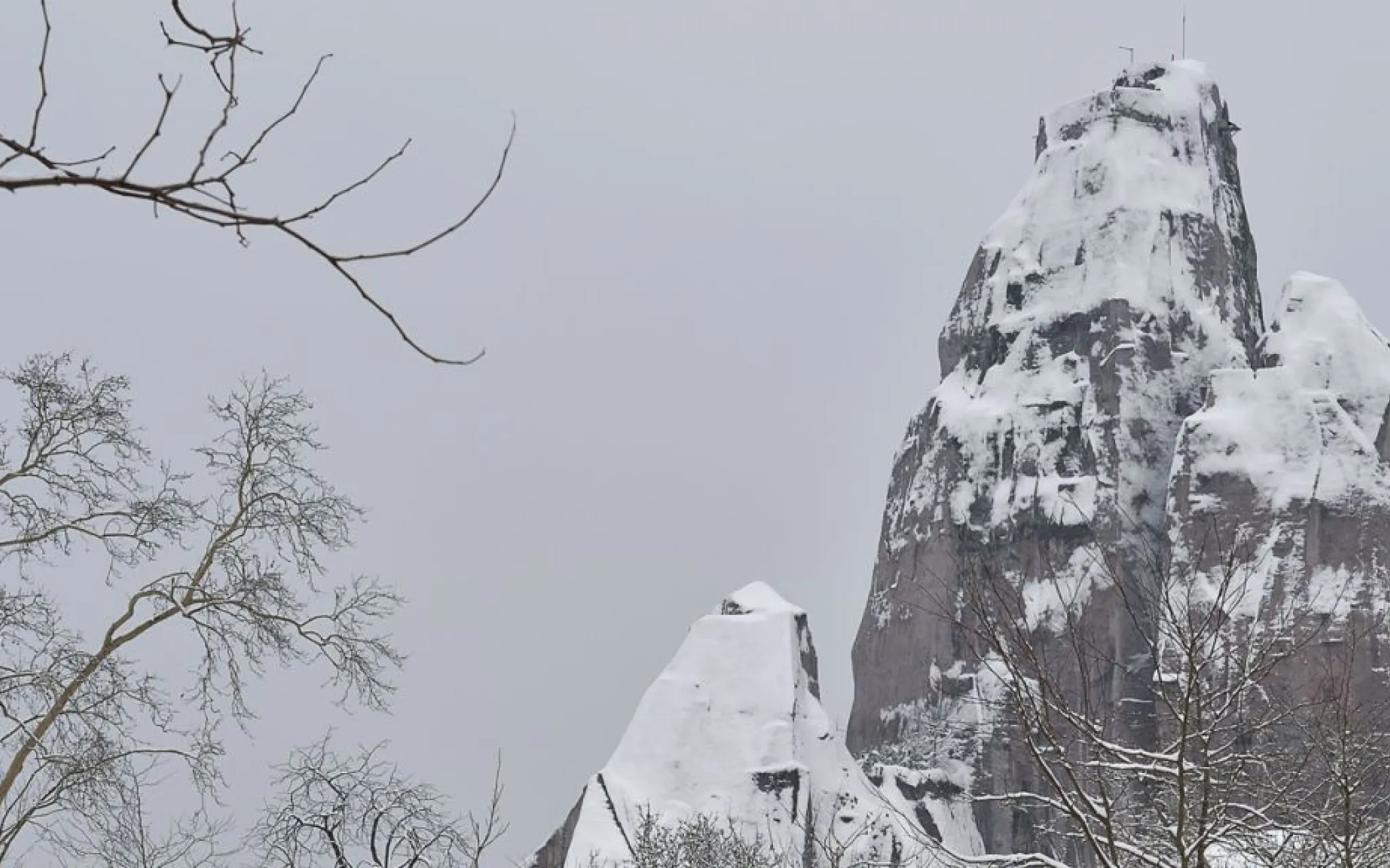 Le Parc zoologique de Paris sous la neige © MNHN - F.-G. Grandin Le Parc zoologique de Paris sous la neige © MNHN - F.-G. Grandin