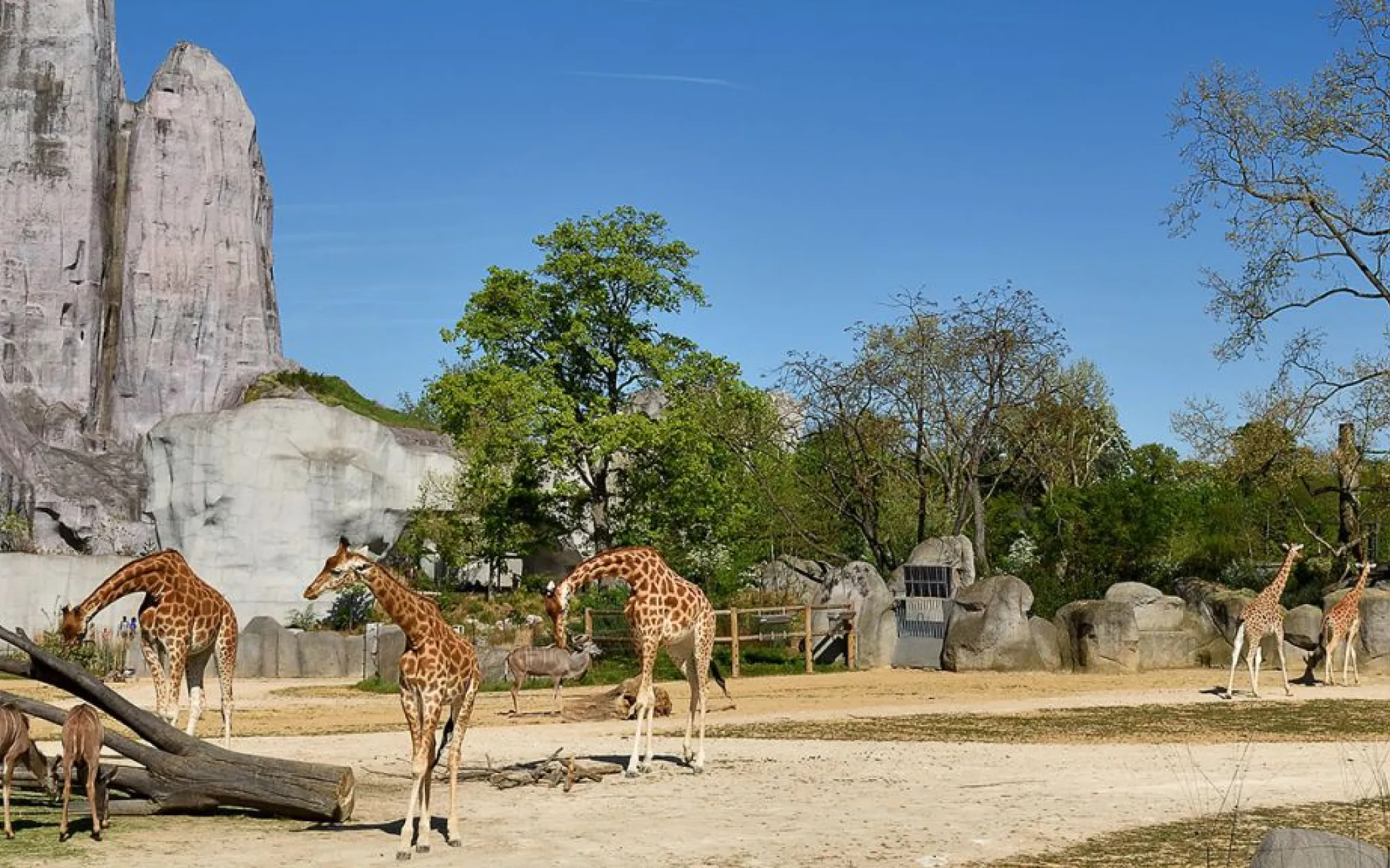 Parc zoologique de Paris © MNHN - F.-G. Grandin Parc zoologique de Paris © MNHN - F-G. Grandin