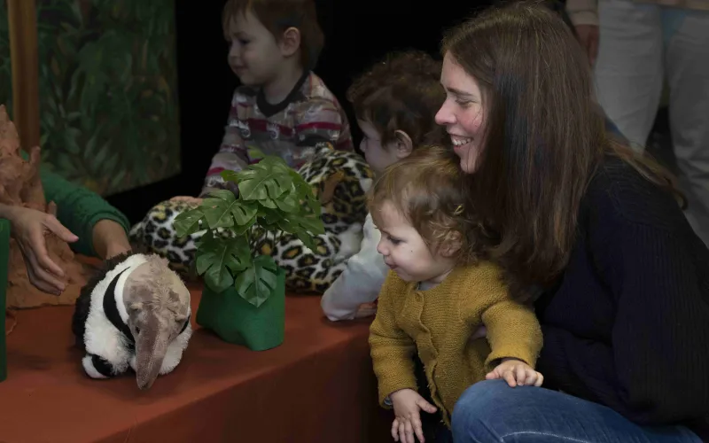 Des bébés observent un tamanoir