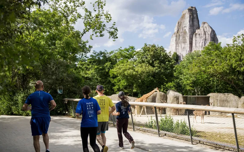 Paris Zoo Run : 5 et 10 km course
