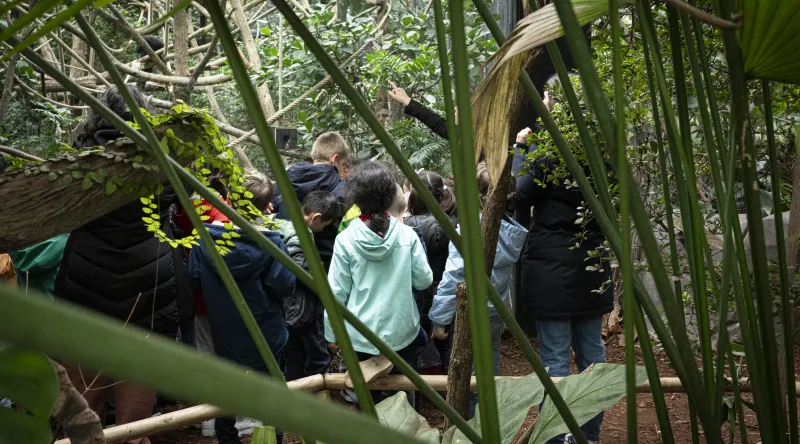Visite guidée pour enfants au Parc zoologique de Paris