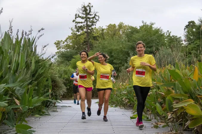 Paris Zoo Run © MNHN - M. Descombes