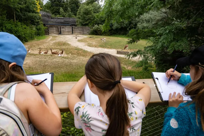 Les enfants dessinent avec Miss Prickly