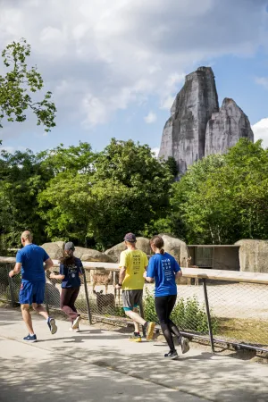 Paris Zoo Run 2025