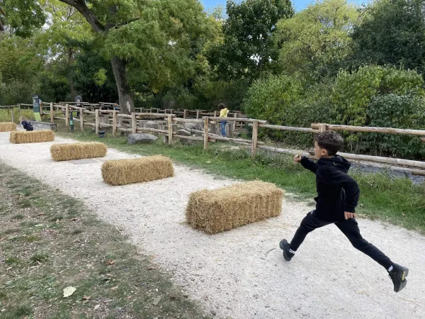 Paris Zoo Run 2025