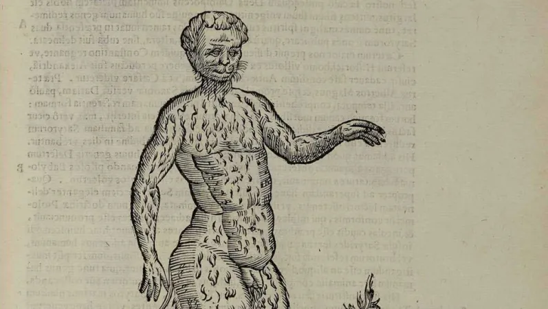 Aldrovandi Ulisse, Monstrorum historia, cum Paralipomenis historiae omnium animalium, 1642 © Muséum national d’Histoire naturelle