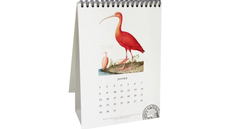 Calendrier perpétuel collection inspiration vélin © MNHN