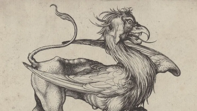 Le griffon, estampe, M. Schongauer © Gallica, Bibliothèque nationale de France