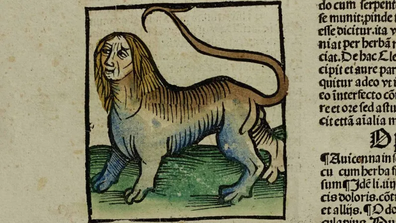 Johannes de Cuba, Ortus Sanitatis, 1497 © Muséum national d’Histoire naturelle