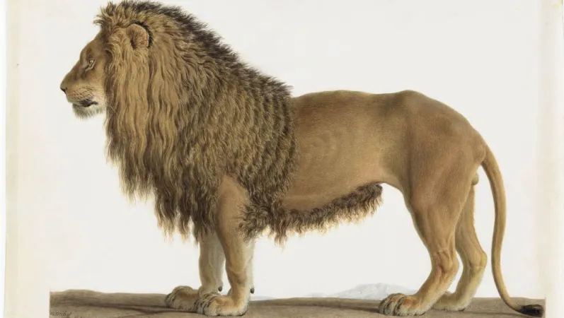 Le grand sphinx dégagé du sable : photographie de presse / Agence Meurisse © Gallica, Bibliothèque nationale de France