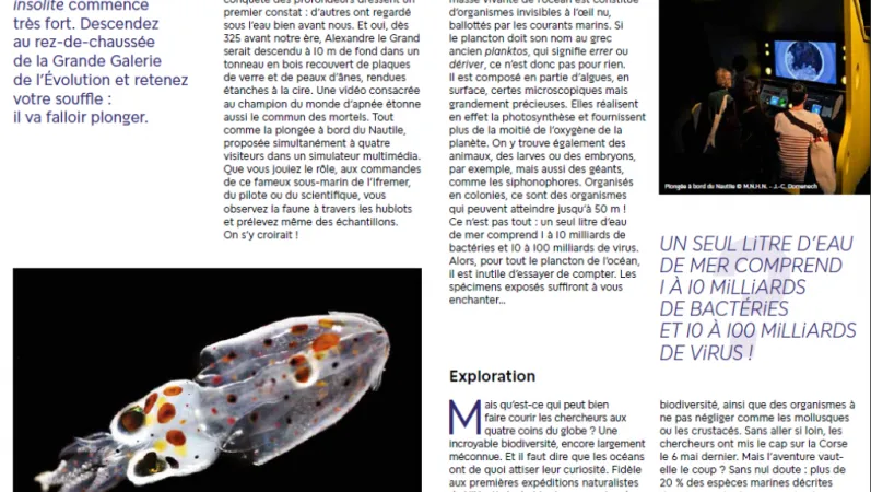 Découvrez l'exposition Océan
