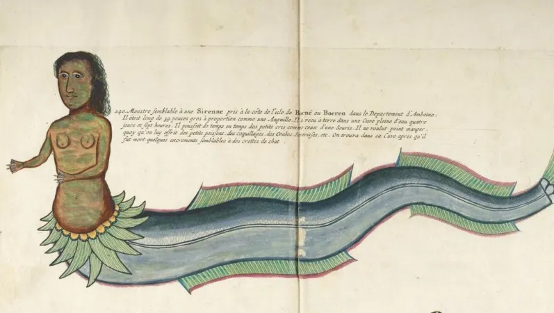 Aldrovandi Ulisse, Monstrorum historia, cum Paralipomenis historiae omnium animalium, 1642 © Muséum national d’Histoire naturelle