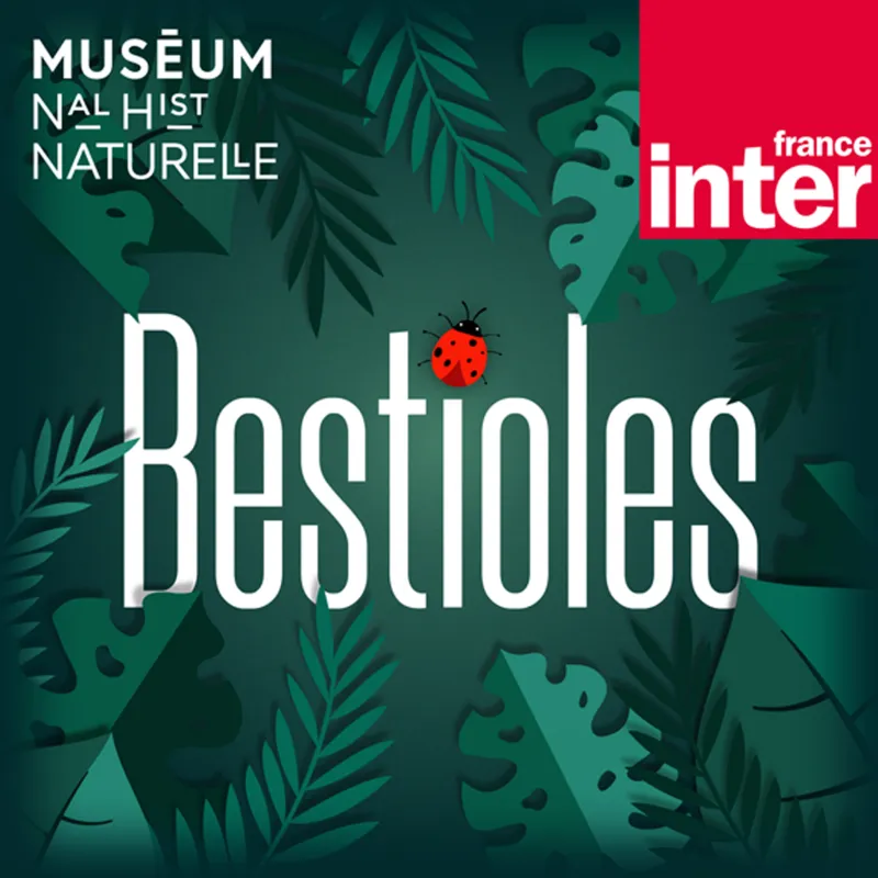 Podcast Bestioles