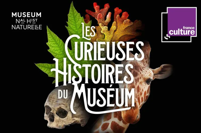 Affiche du podcast « Les curieuses histoires du Muséum » de Radio France, montrant un crâne, une girafe et des plantes
