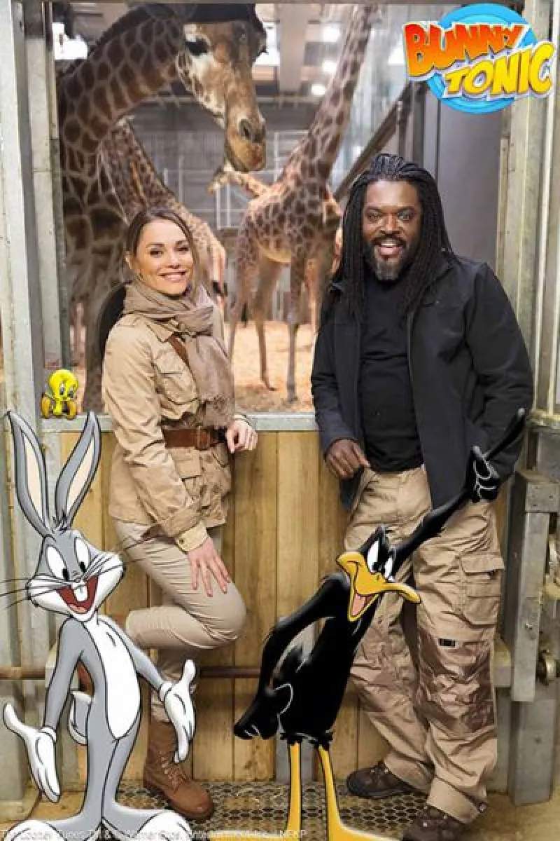 The Looney Tunes TM & © Warner Bros Entertainment inc. / NFKP, par Warner Bros